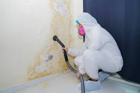 Best Asbestos and Lead Testing During Mold Inspection  in Mississippi State, MS